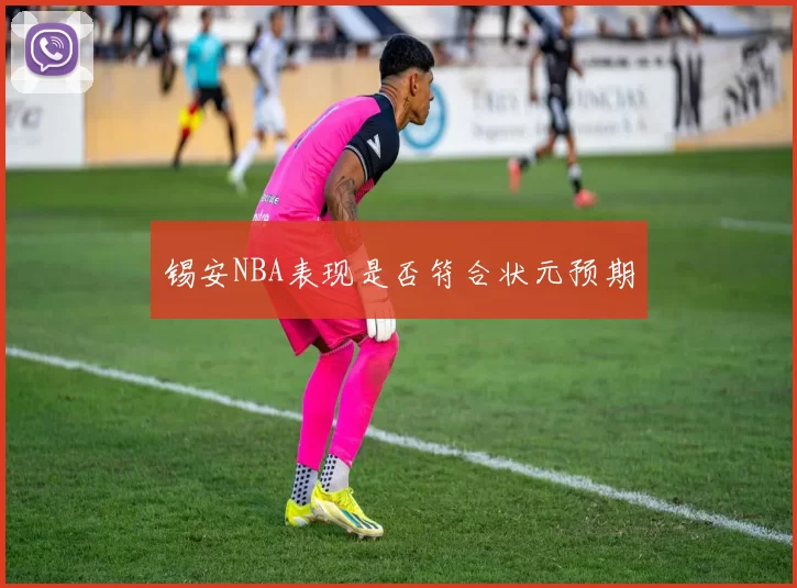 锡安NBA表现是否符合状元预期