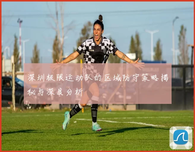 深圳极限运动队的区域防守策略揭秘与深度分析