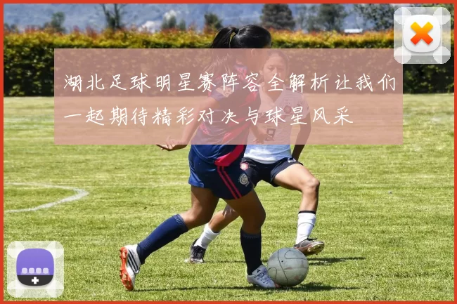 湖北足球明星赛阵容全解析让我们一起期待精彩对决与球星风采