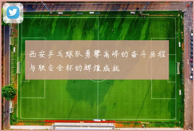 西安乒乓球队勇攀高峰的奋斗历程与联合会杯的辉煌成就