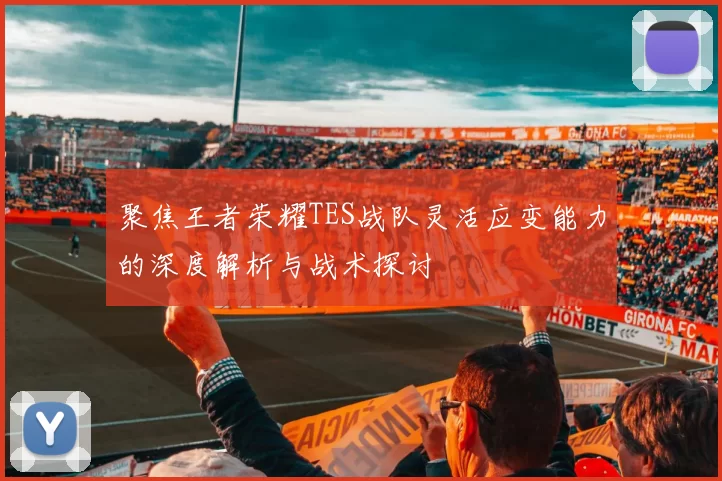 聚焦王者荣耀TES战队灵活应变能力的深度解析与战术探讨