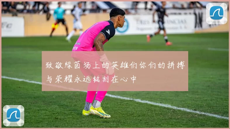 致敬绿茵场上的英雄们你们的拼搏与荣耀永远铭刻在心中