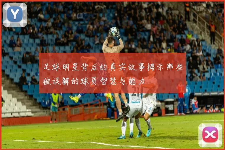 足球明星背后的真实故事揭示那些被误解的球员智慧与能力