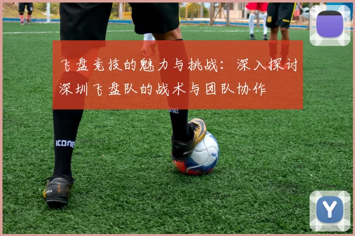 飞盘竞技的魅力与挑战：深入探讨深圳飞盘队的战术与团队协作