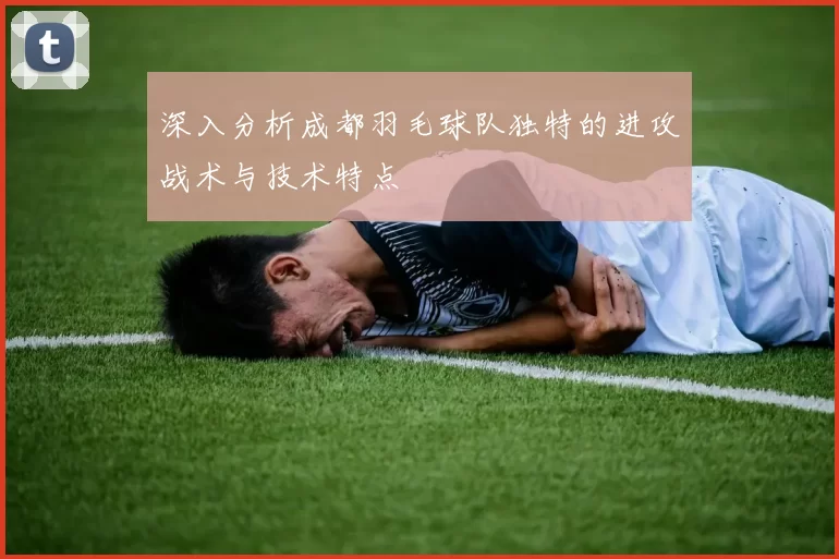 深入分析成都羽毛球队独特的进攻战术与技术特点