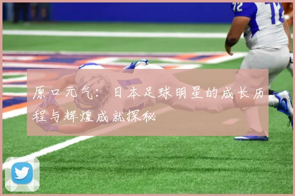 原口元气：日本足球明星的成长历程与辉煌成就探秘