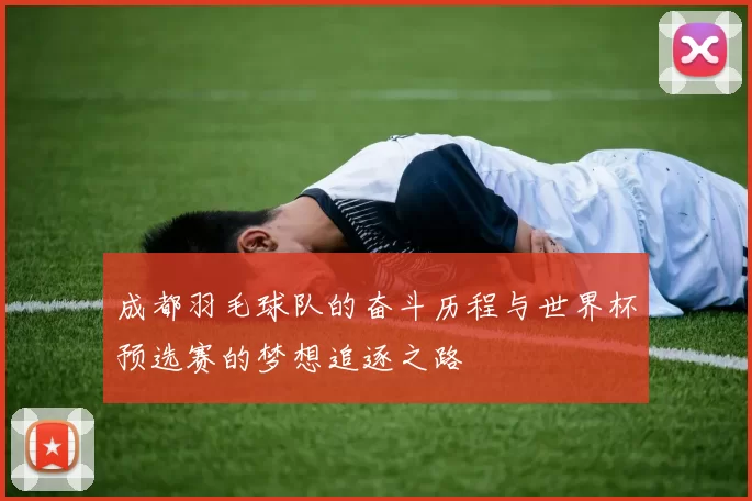 成都羽毛球队的奋斗历程与世界杯预选赛的梦想追逐之路